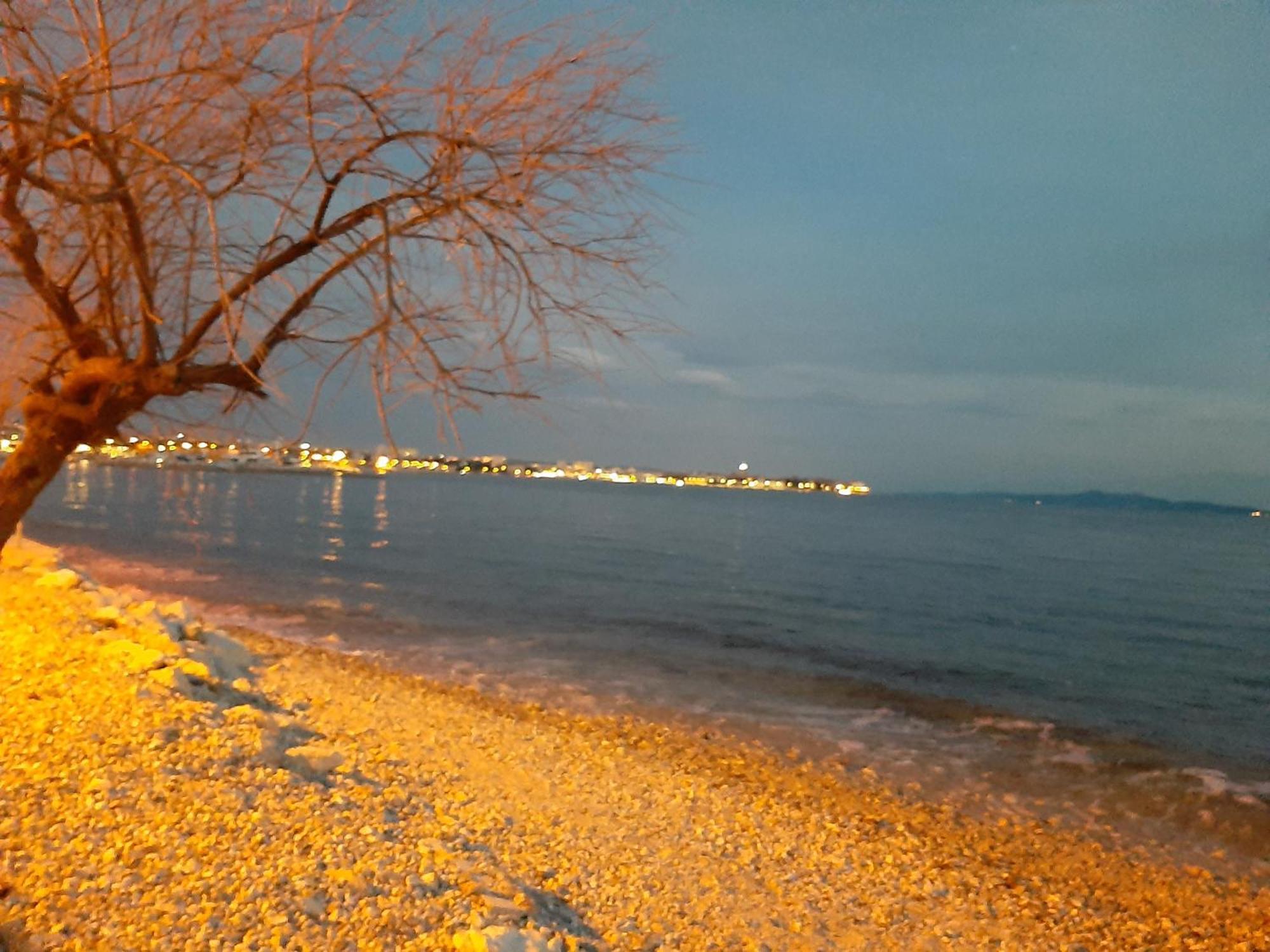 Villa Aurelia Zadar Eksteriør billede